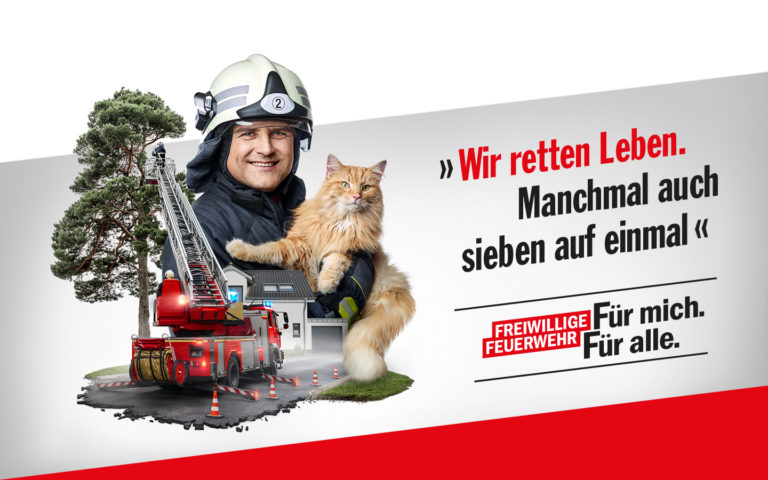 FF_Destop_1440x900_Katze_0