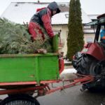 hoch auf dem "grünen" Wagen